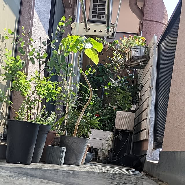 ichi.さんの部屋