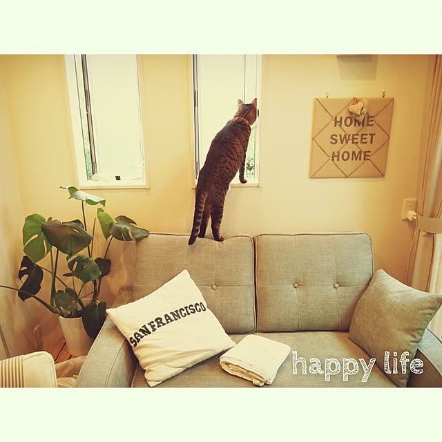 lovecatさんの実例写真