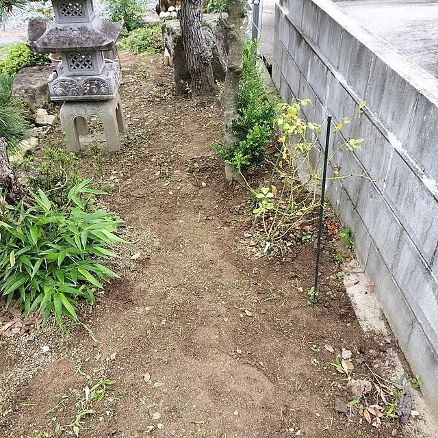 sumimarumiさんの部屋