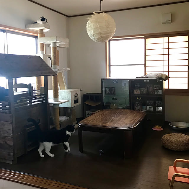butachanさんの実例写真
