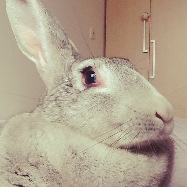 MARIさんの実例写真