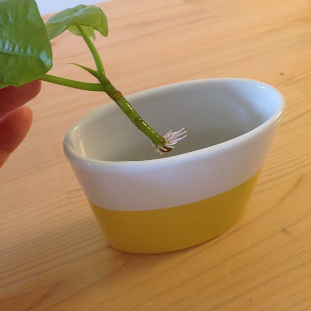 masamasaさんの実例写真
