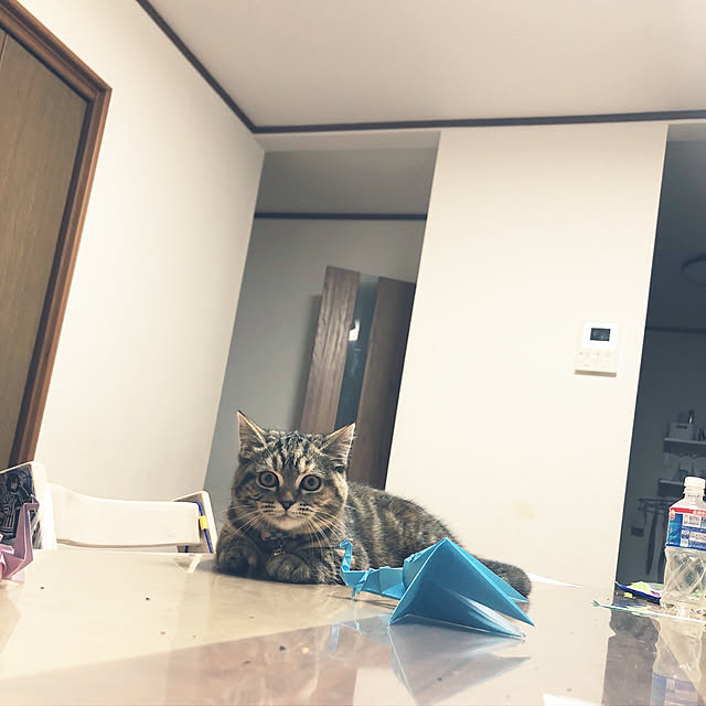 m9696yさんの実例写真