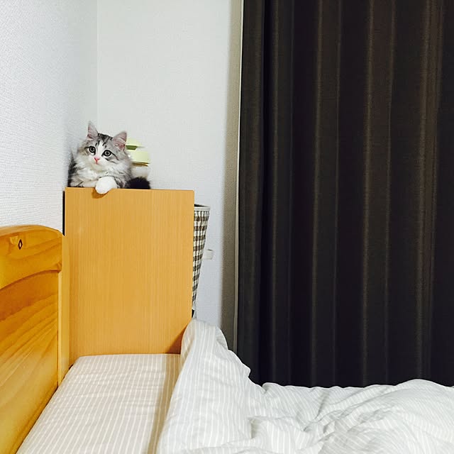 Yokoさんの実例写真