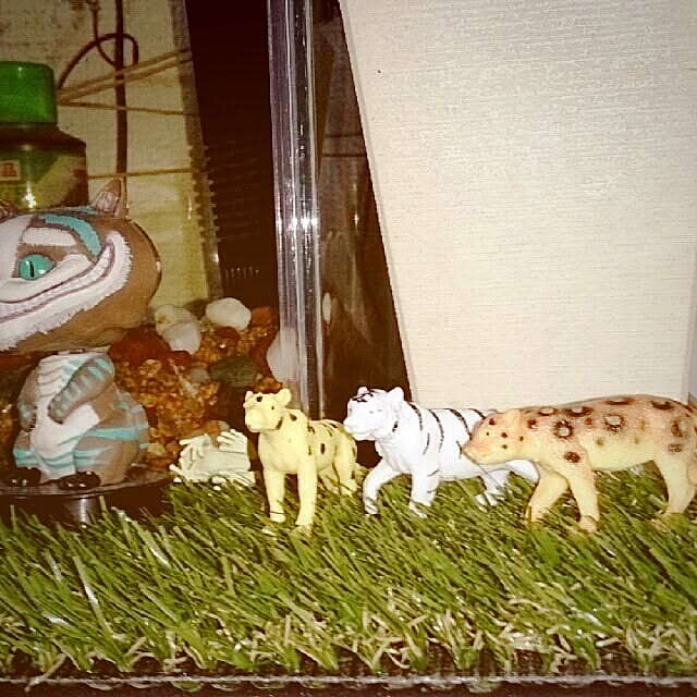 makicoさんの実例写真
