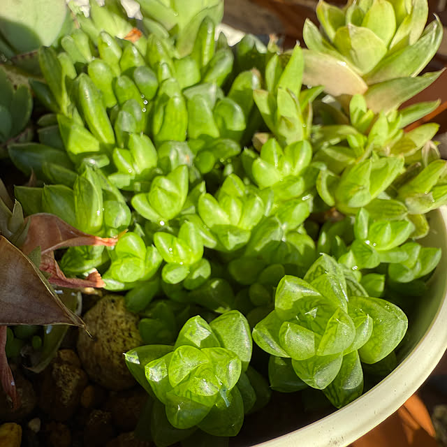 Aqettyさんの部屋