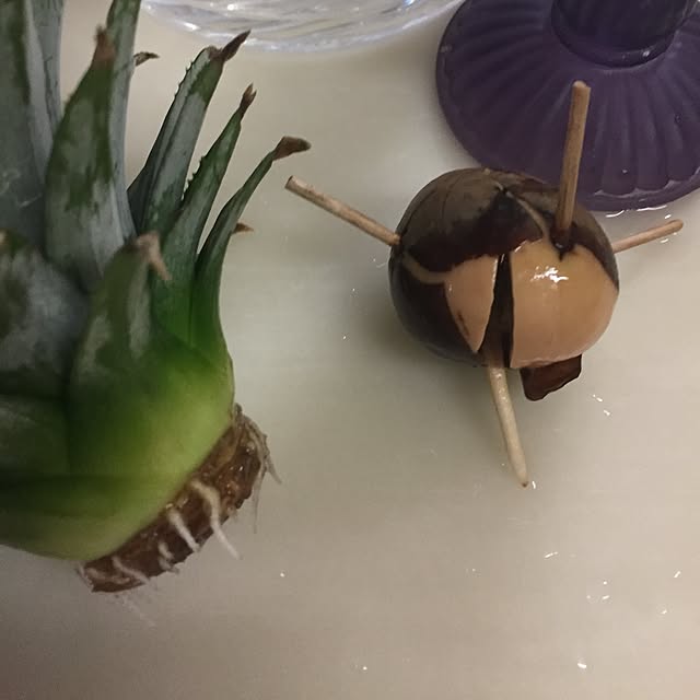 mirinrinさんの実例写真