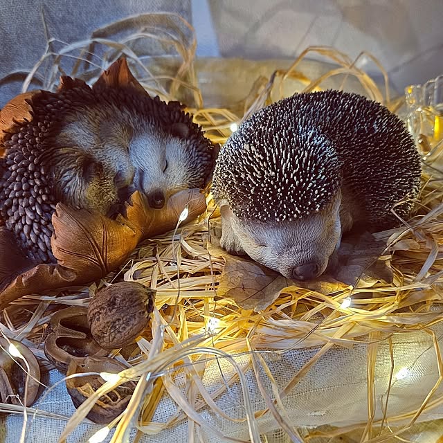 mocomocoさんの部屋