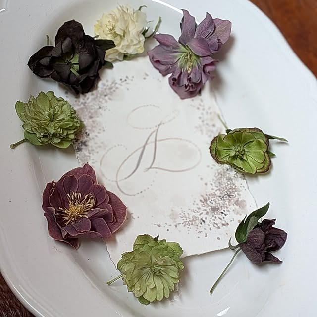 nolleyさんの部屋