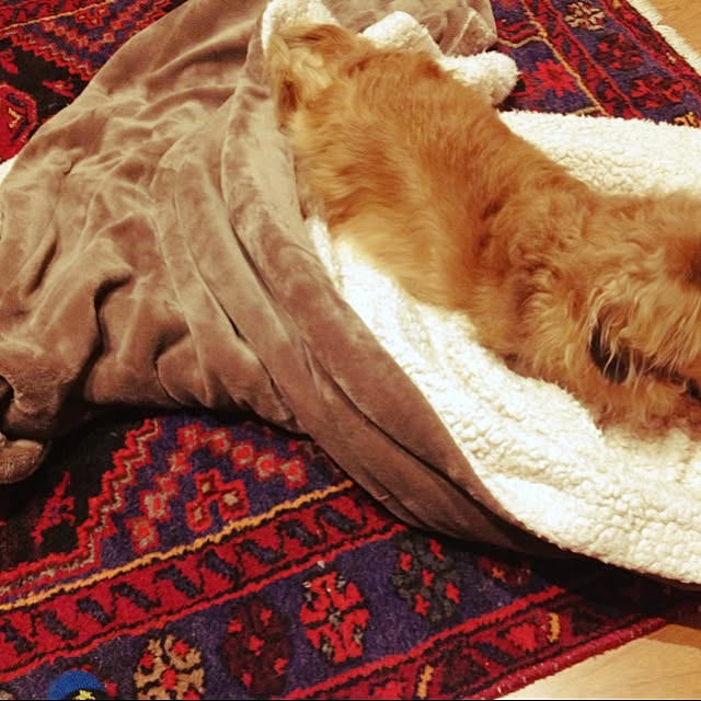 rinrinさんの実例写真