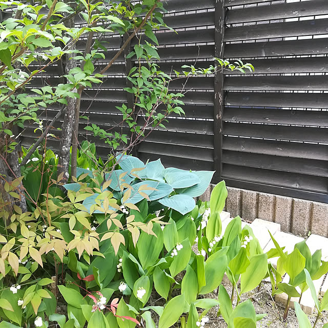 mukunukuさんの実例写真