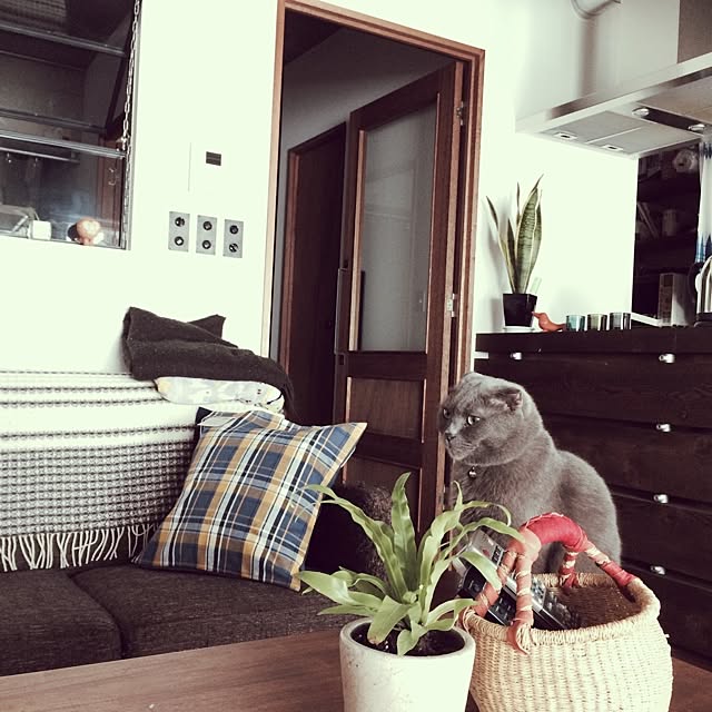 torinokoさんの実例写真