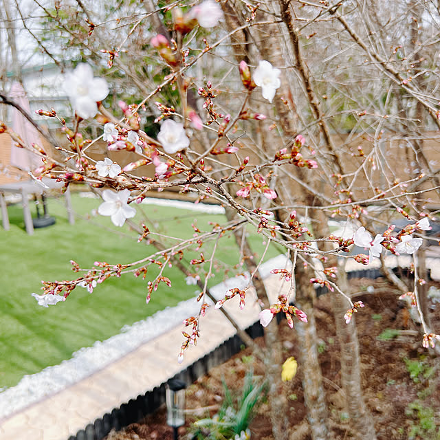 chanduさんの実例写真