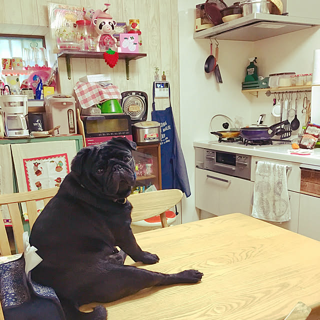 kopandaさんの実例写真