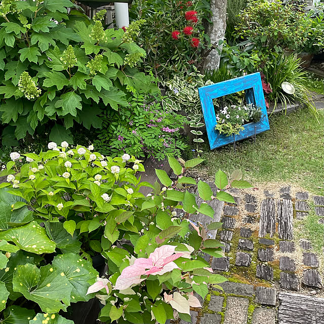 nobikoさんの部屋