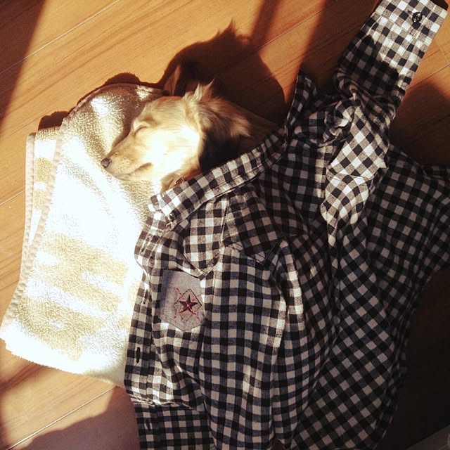 chocolateさんの実例写真