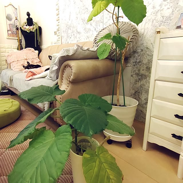 Bienvenueさんの実例写真