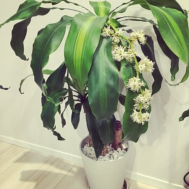 yukariさんの実例写真