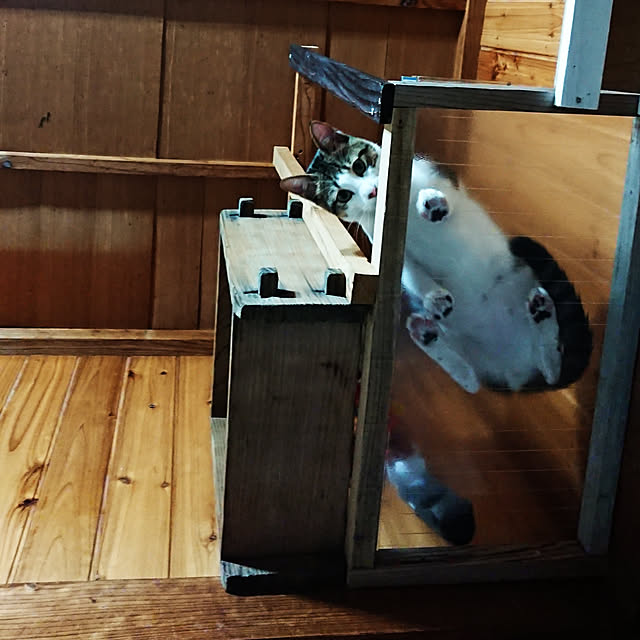 kikuさんの実例写真