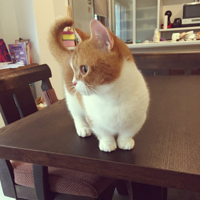 KotarouKunさんの実例写真