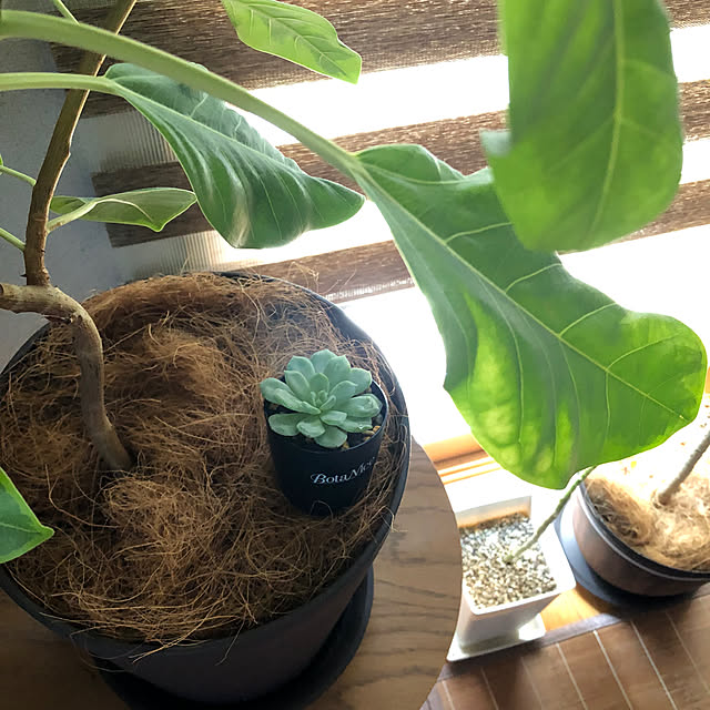 CoffeeHouseさんの部屋