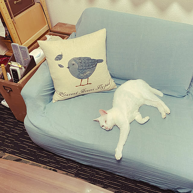 fuyuさんの実例写真