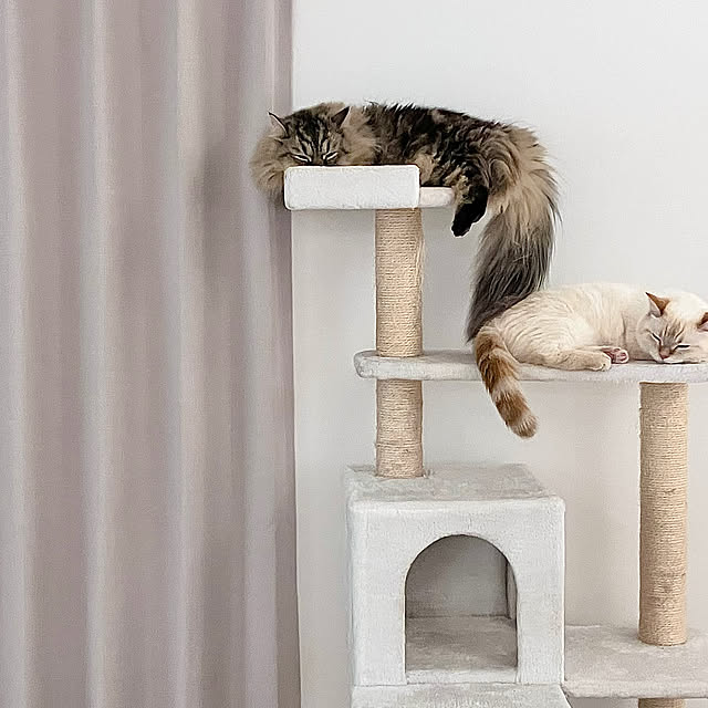 sobokuさんの部屋