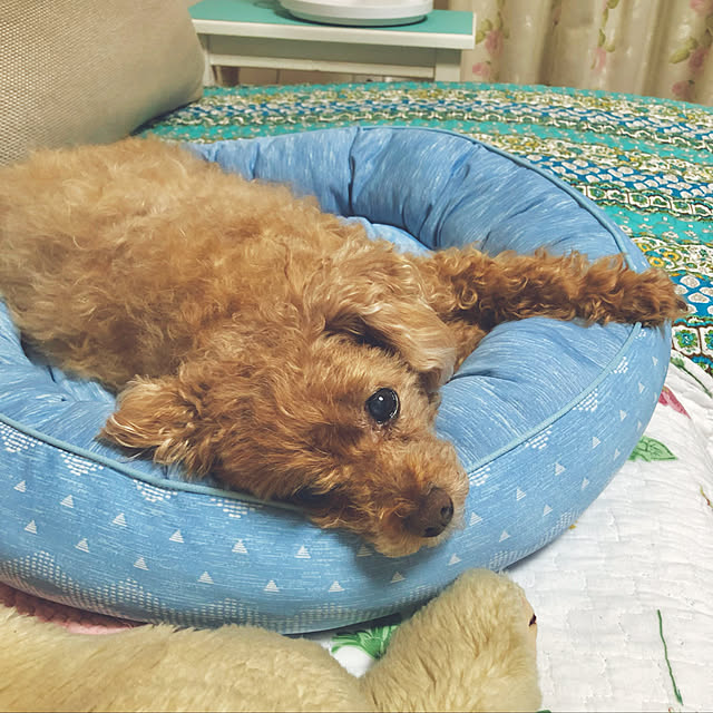 haruminさんの実例写真