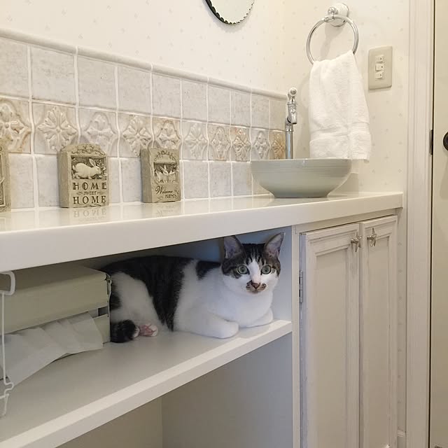 yuchiさんの実例写真