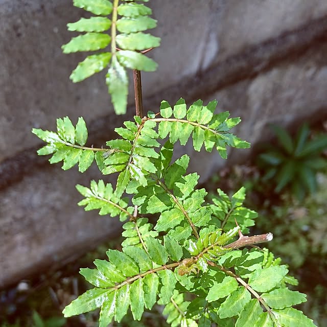 hiro.904さんの実例写真