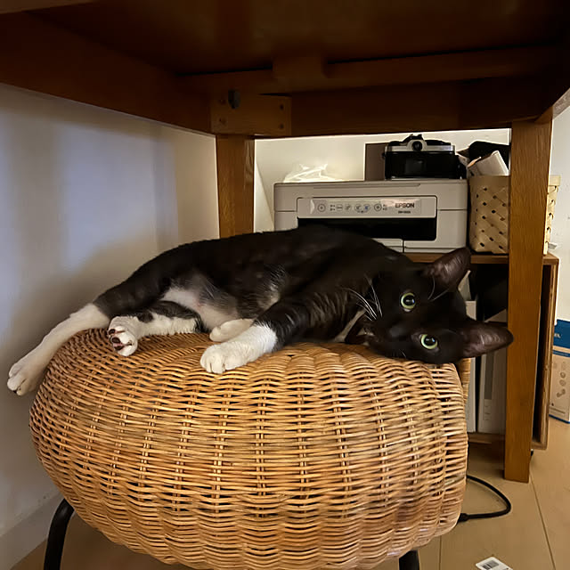 Makiさんの実例写真