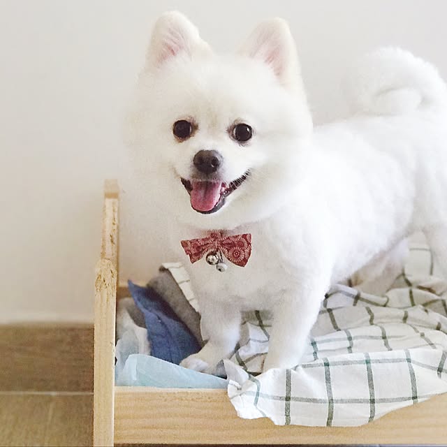 Belleさんの実例写真