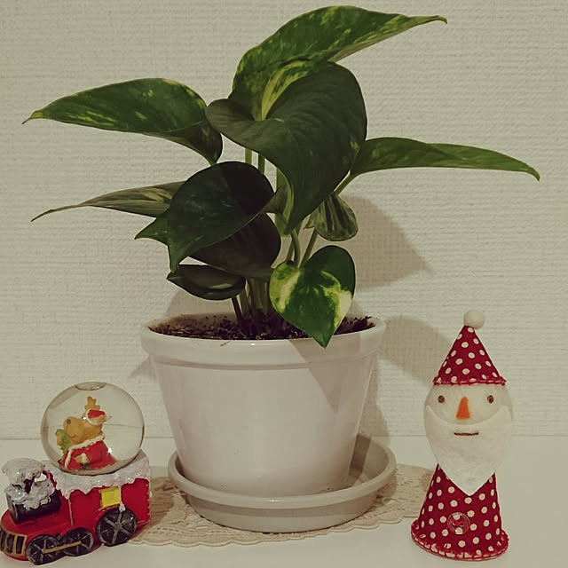 fpu-p.eyerrangeさんの実例写真
