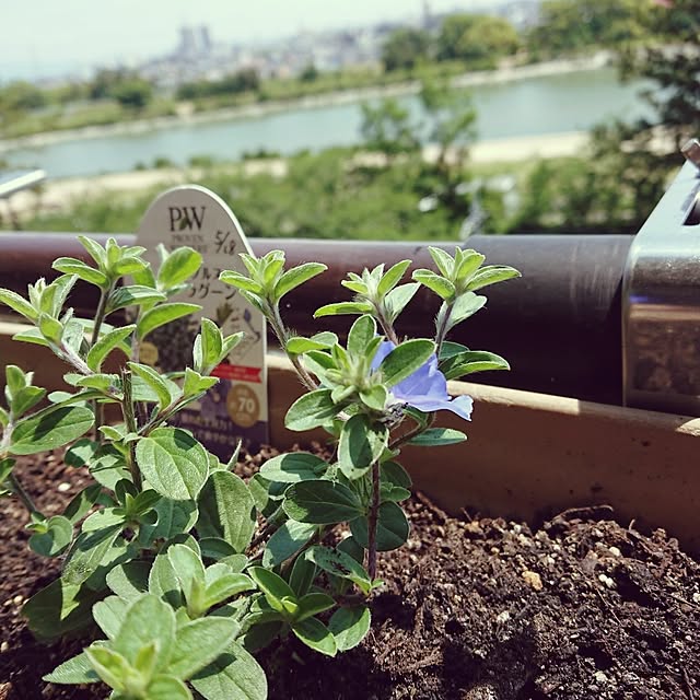 hopkeiさんの実例写真