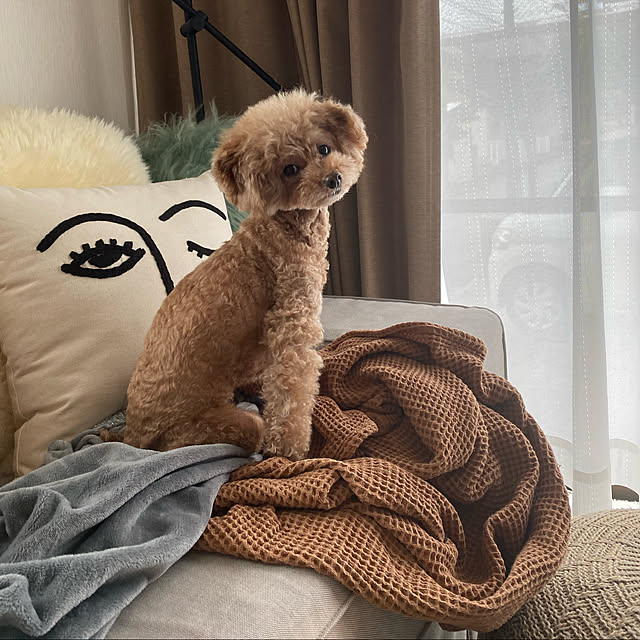 mococoさんの実例写真