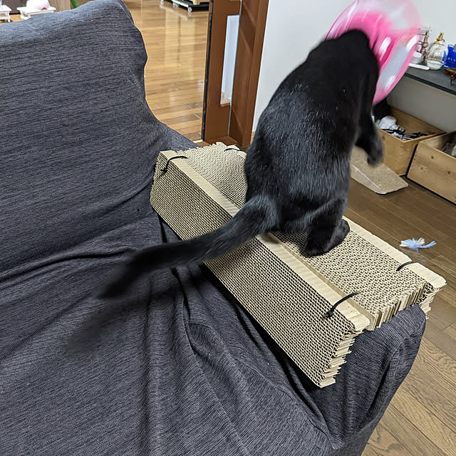 asaさんの実例写真