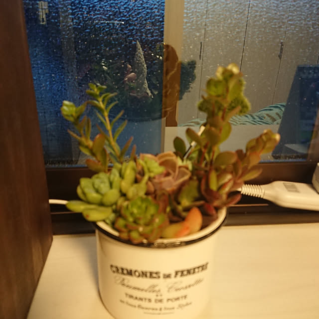 sbhさんの実例写真