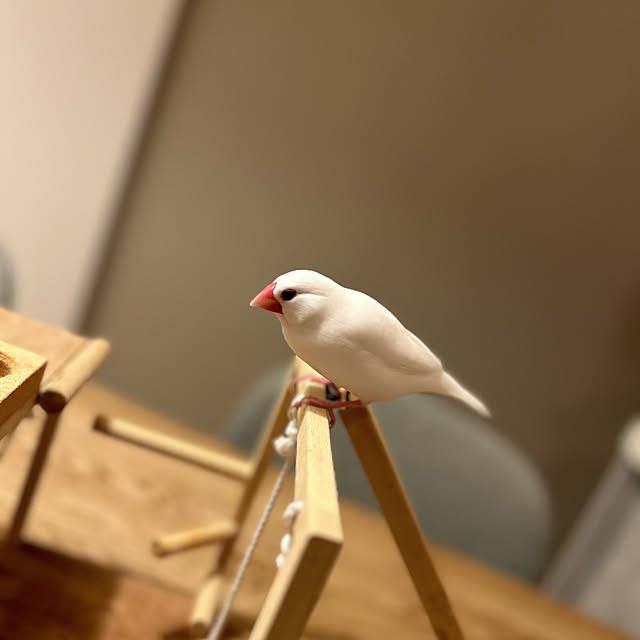 otokiさんの実例写真