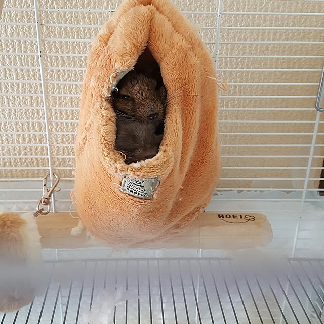 peryryさんの実例写真