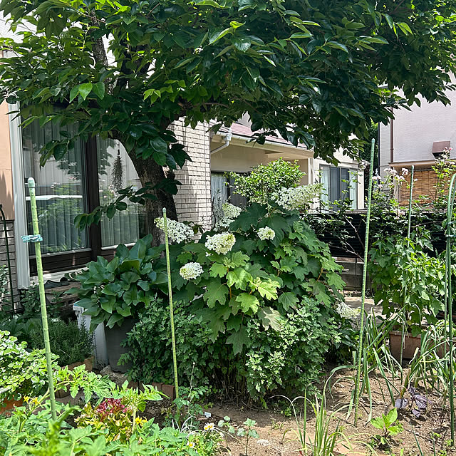 botanさんの部屋