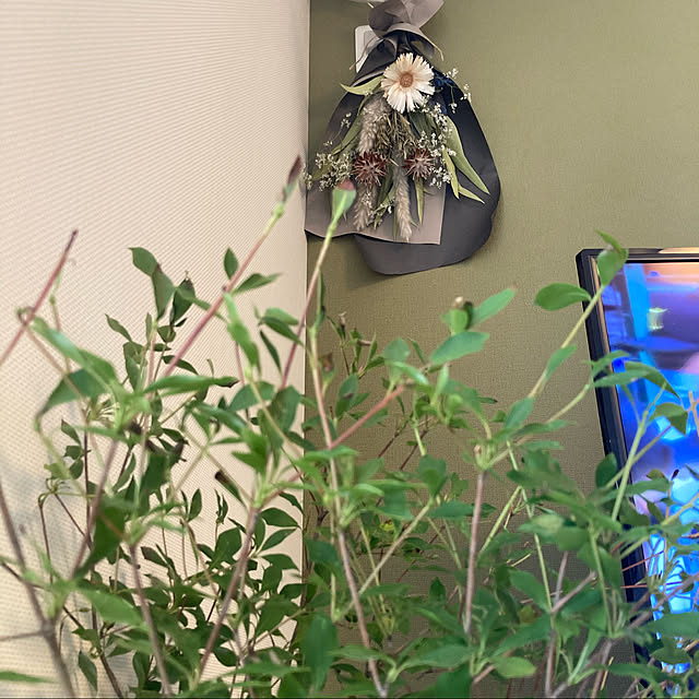 bambiさんの実例写真