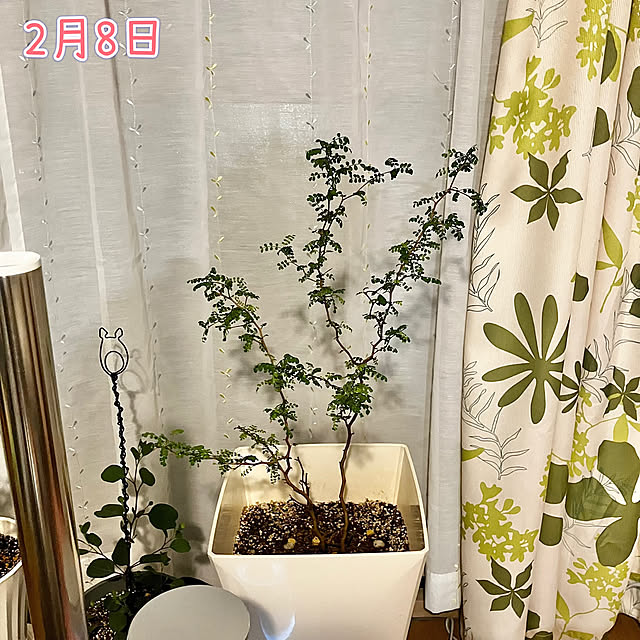 kagomamaさんの部屋