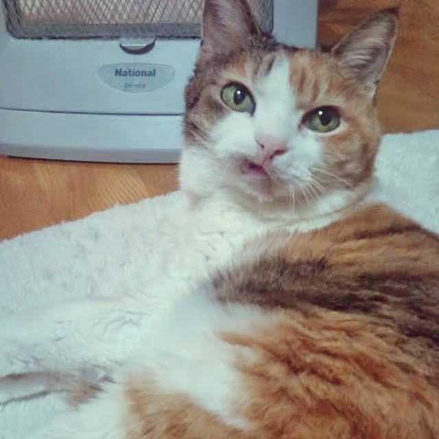 keimamさんの実例写真