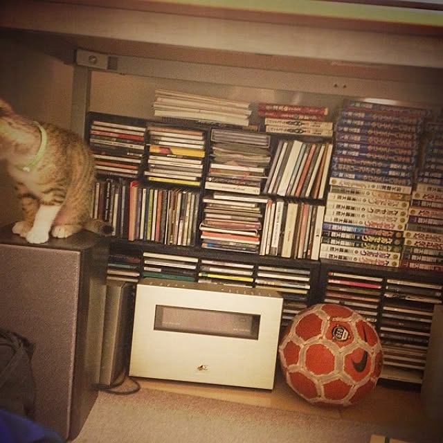 Tatsukiさんの実例写真