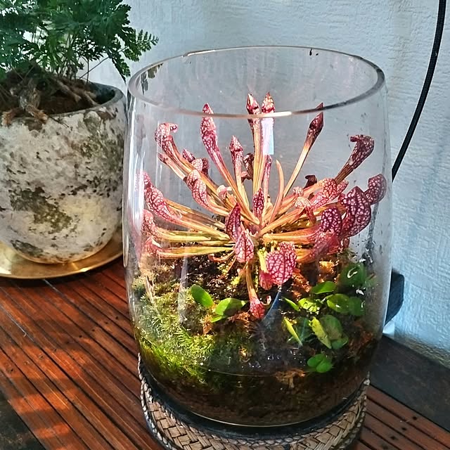 rieさんの実例写真