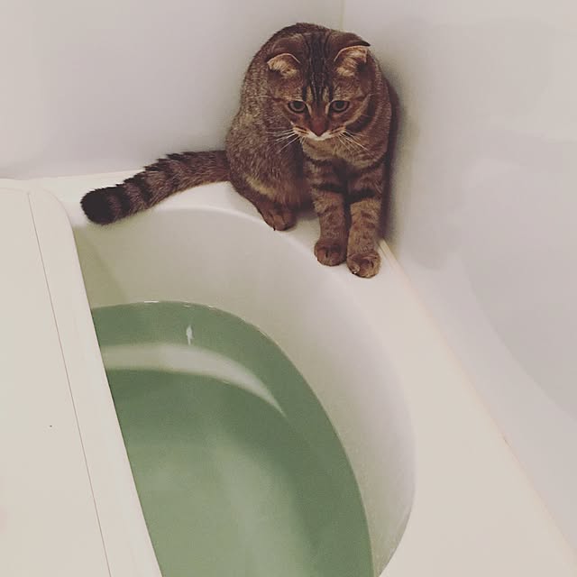 sueさんの実例写真