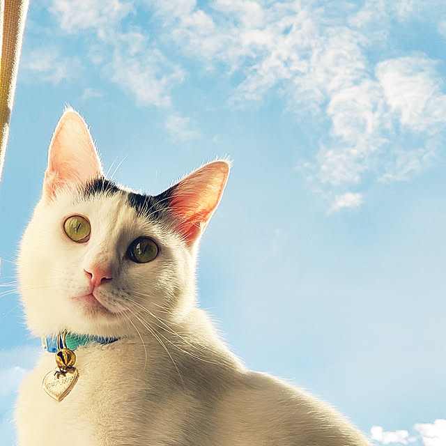 Rinさんの実例写真