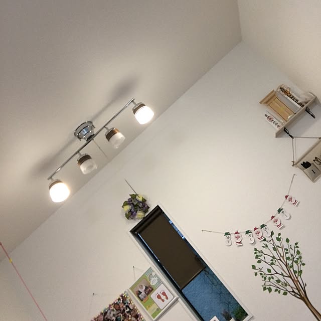 20hakuさんの実例写真