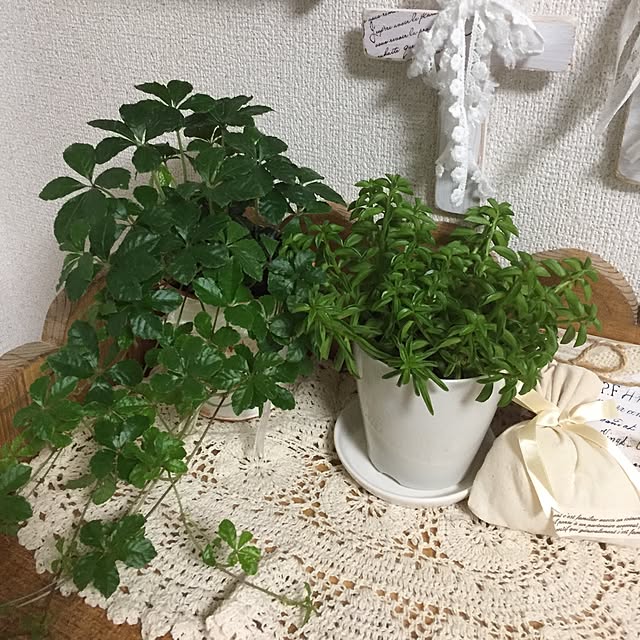 Hitomiさんの実例写真
