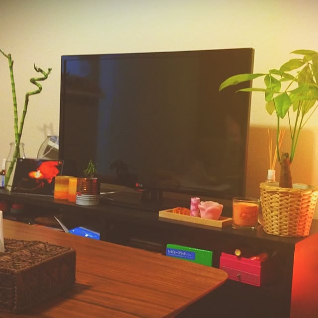risaさんの実例写真
